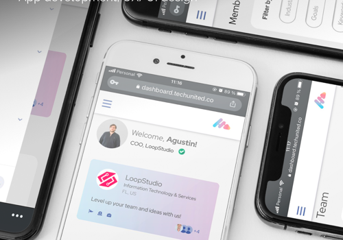 Custom Software Development Package Example: Members-only Dashboard WebApp