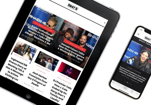 Web Design Package Example: Sway's Universe