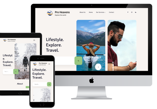 Web Design Package Example: Pro Heavens Website Design