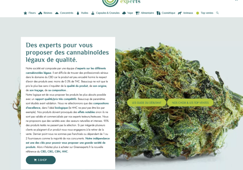 Web Design Package Example: greenexperts.fr e-commerce website