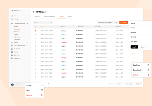 UX/UI Design Package Example: Drongo Saas Application