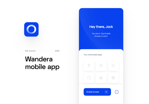 Mobile App Development Package Example: Wandera