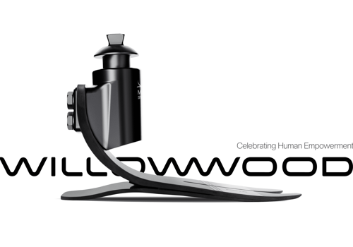 Branding Package Example: WillowWood Brand Identity & Web Design