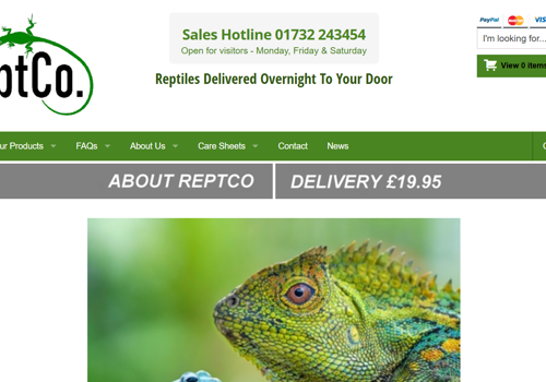 E-Commerce Development Package Example: The ReptCo. eShop