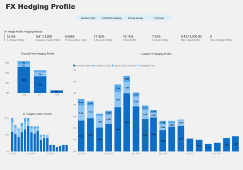 BI & Big Data Consulting & SI Package Example: Hedging Analysis