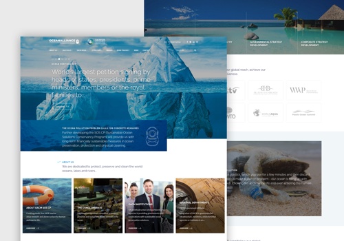 Web Design Package Example: OACM Group