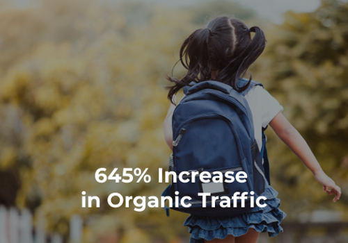 Pay Per Click Package Example: SEO and PPC Marketing for Lice Removal Specialists