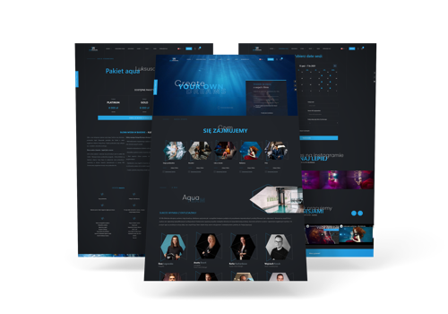 Web Development Package Example: Villa Wieliczka - Dedicated Website
