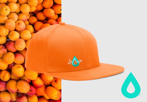 Branding Package Example: La Croix