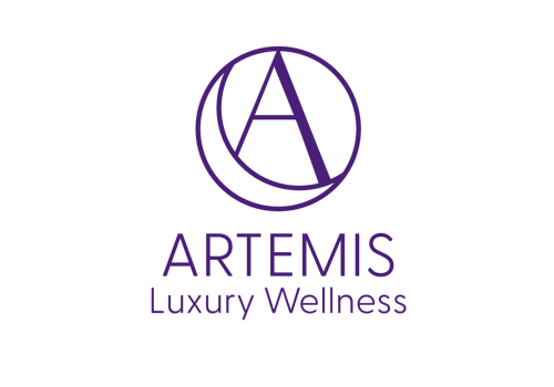 Branding Package Example: Artemis Branding