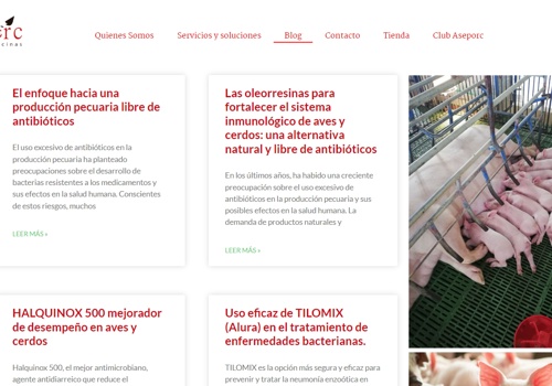 Web Design Package Example: Aseporc