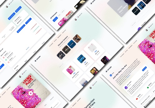 UX/UI Design Package Example: Shizzle