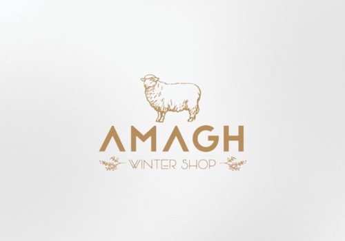 Search Engine Optimization Package Example: Amazon SEO Optimization