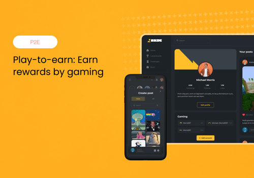 Web Design Package Example: RKDE web app