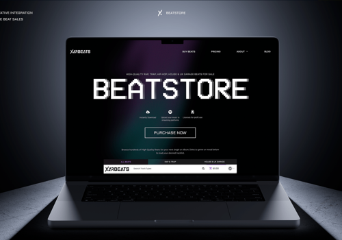 Search Engine Optimization Package Example: Website for - Beatstore