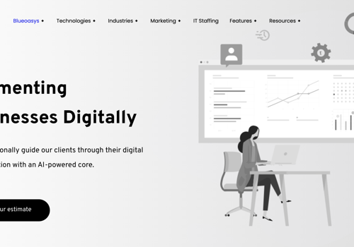 Custom Software Development Package Example: Blueoasys Website Development