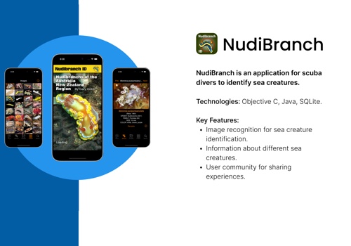 Mobile App Development Package Example: An App for Scuba Divers to Identify Sea Creatures
