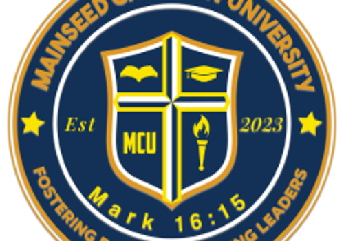 Web Design Package Example: Website setup and LMS setup