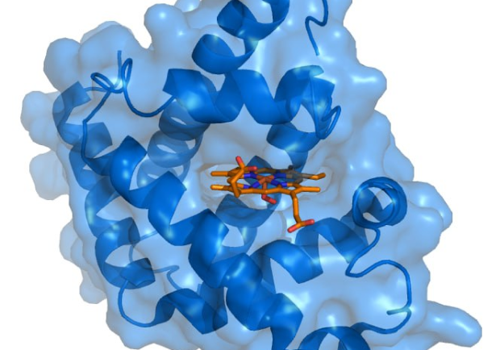 AI Development Package Example: Multi-Omics GenAI Platform