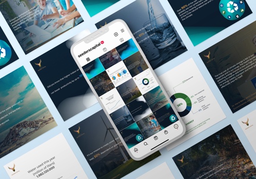 Social Media Marketing Package Example: Social Media Marketing for Seeders Capital