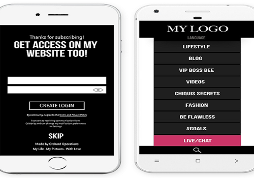Mobile App Development Package Example: Celebrity Blog App
