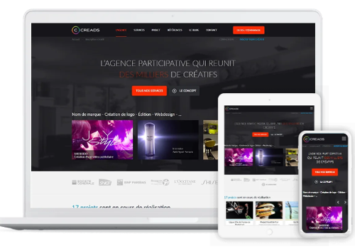 Web Development Package Example: Creads