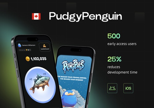 Blockchain Package Example: PudgyPenguin