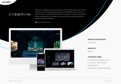 Custom Software Development Package Example: Cyberium Development