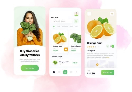 Mobile App Development Package Example: Grocery Delivery App