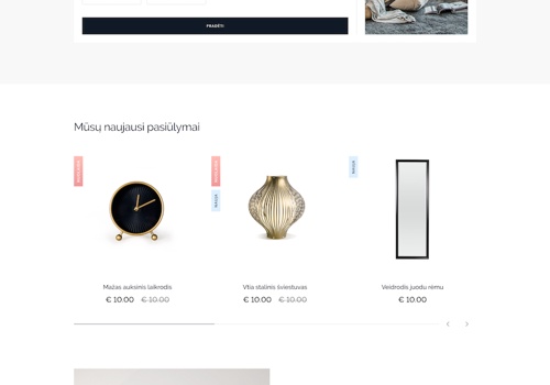 Web Development Package Example: nmfhome.lt web maintenance