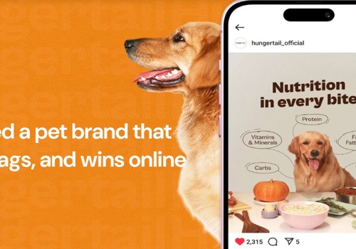 Search Engine Optimization Package Example: Digital Launch for Hunger Tail