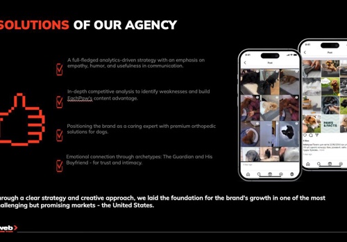 Advertising Package Example: Establishing EachPaw as a Trusted Pet Ortho Brand