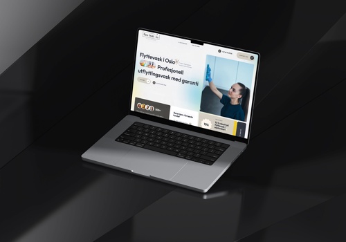 Search Engine Optimization Package Example: Website & SEO for Cleaners