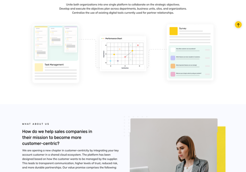 Custom Software Development Package Example: Account management SaaS