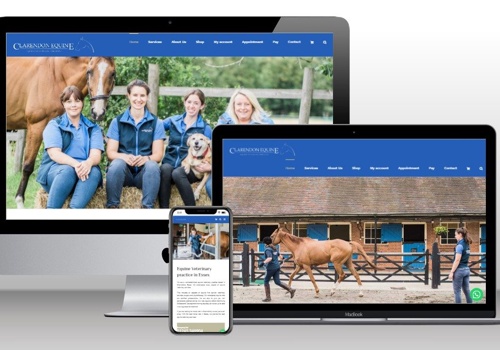 Web Design Package Example: Clarendon Equine