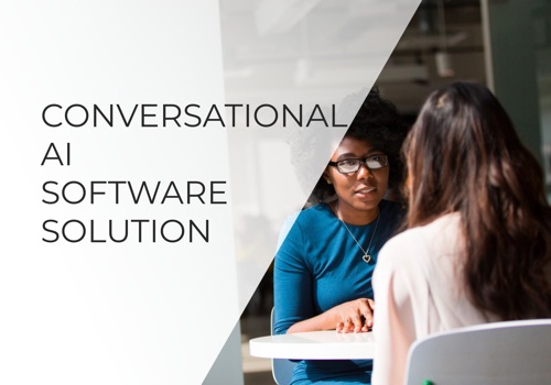 Custom Software Development Package Example: Conversational AI  Software Solution