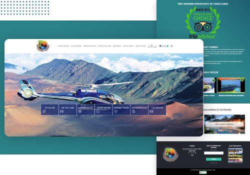 Search Engine Optimization Package Example: Stardust Hawaii- Local SEO