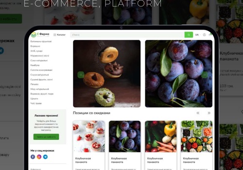 Web Design Package Example: E-Ferma E-commerce Platform