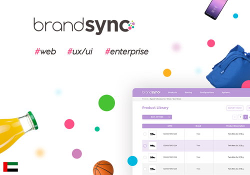 Custom Software Development Package Example: BrandSync - a B2B cloud-based PIM platform