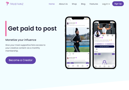 Web Design Package Example: TrueFanz