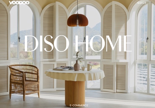 E-Commerce Development Package Example: Diso Home | Shopify store development on template