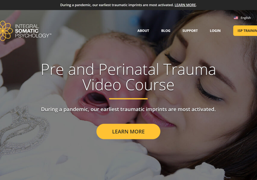 Web Development Package Example: WordPress Custom Theme Development