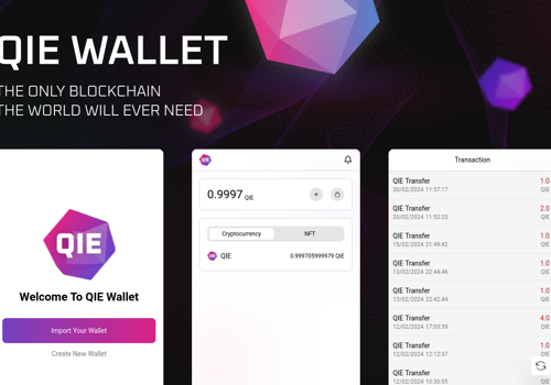 Blockchain Package Example: QIE Blockchain