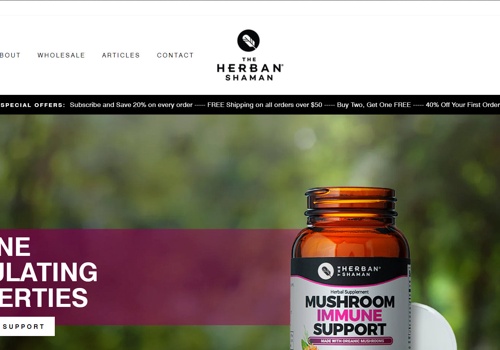 Search Engine Optimization Package Example: SEO & Functionality