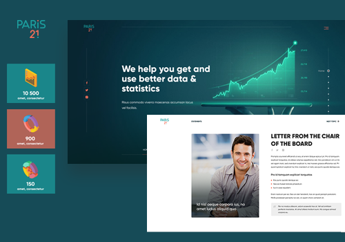 Web Design Package Example: Paris21