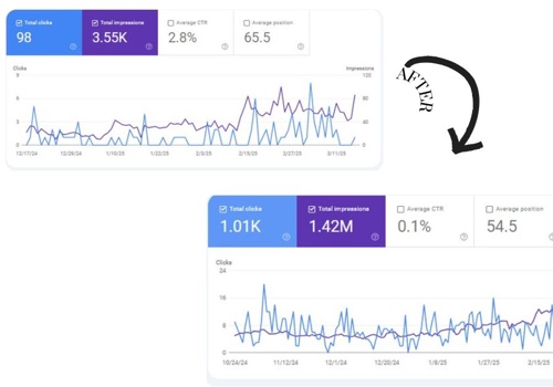 Search Engine Optimization Package Example: Monthly Basis- SEO service