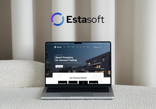 Web Development Package Example: Website Design & Development for Spark Company