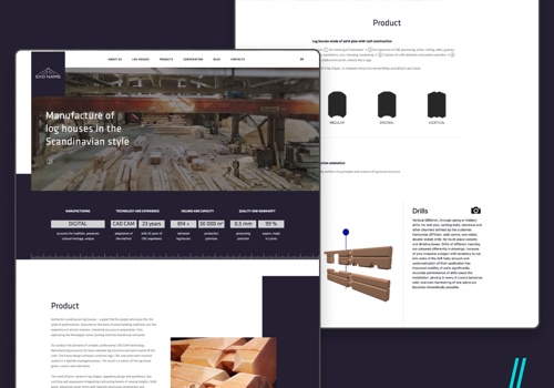 Web Design Package Example: EKO NAMS - Website development and maintenance