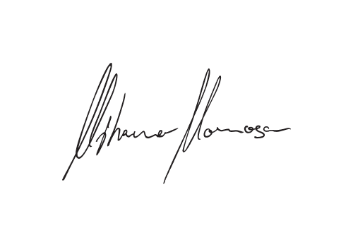 Branding Package Example: Logo Design