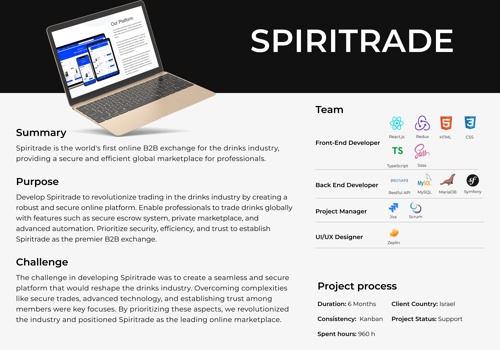 Web Design Package Example: Spiritrade